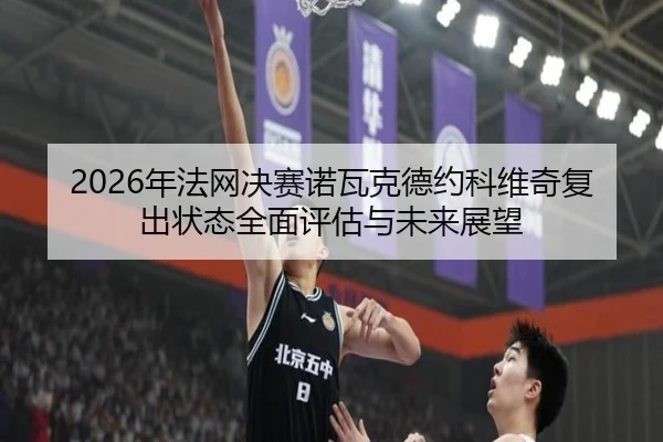 2026年法网决赛诺瓦克德约科维奇复出状态全面评估与未来展望